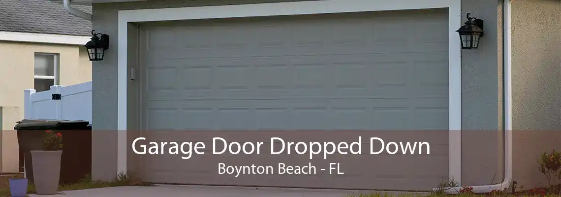 Garage Door Dropped Down Boynton Beach - FL